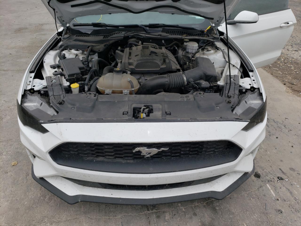 Photo 7 from auction – 2019 FORD MUSTANG with VIN 1FA6P8TH6K5125215