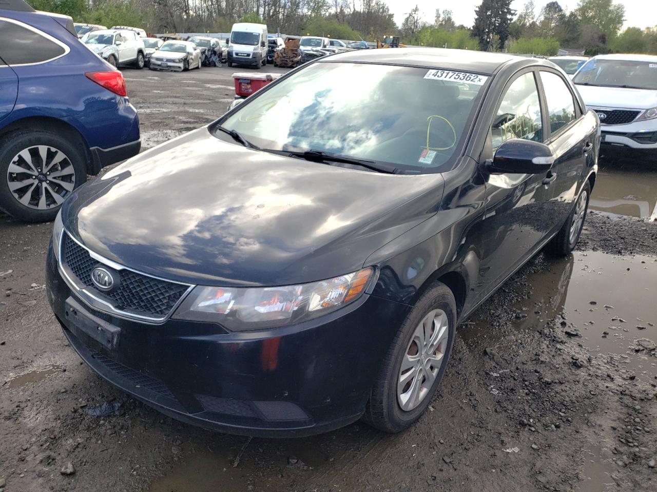 Photo 2 from auction – 2010 KIA FORTE EX with VIN KNAFU4A26A5180964