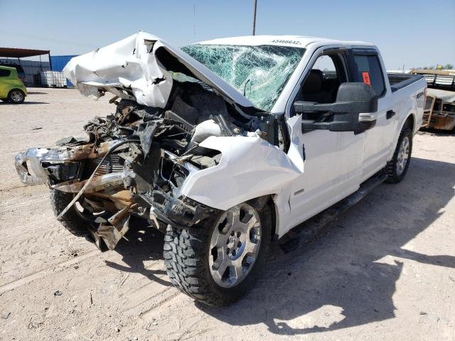 Photo 2 from auction – 2016 FORD F150 SUPER with VIN 1FTEW1EP4GKE79148