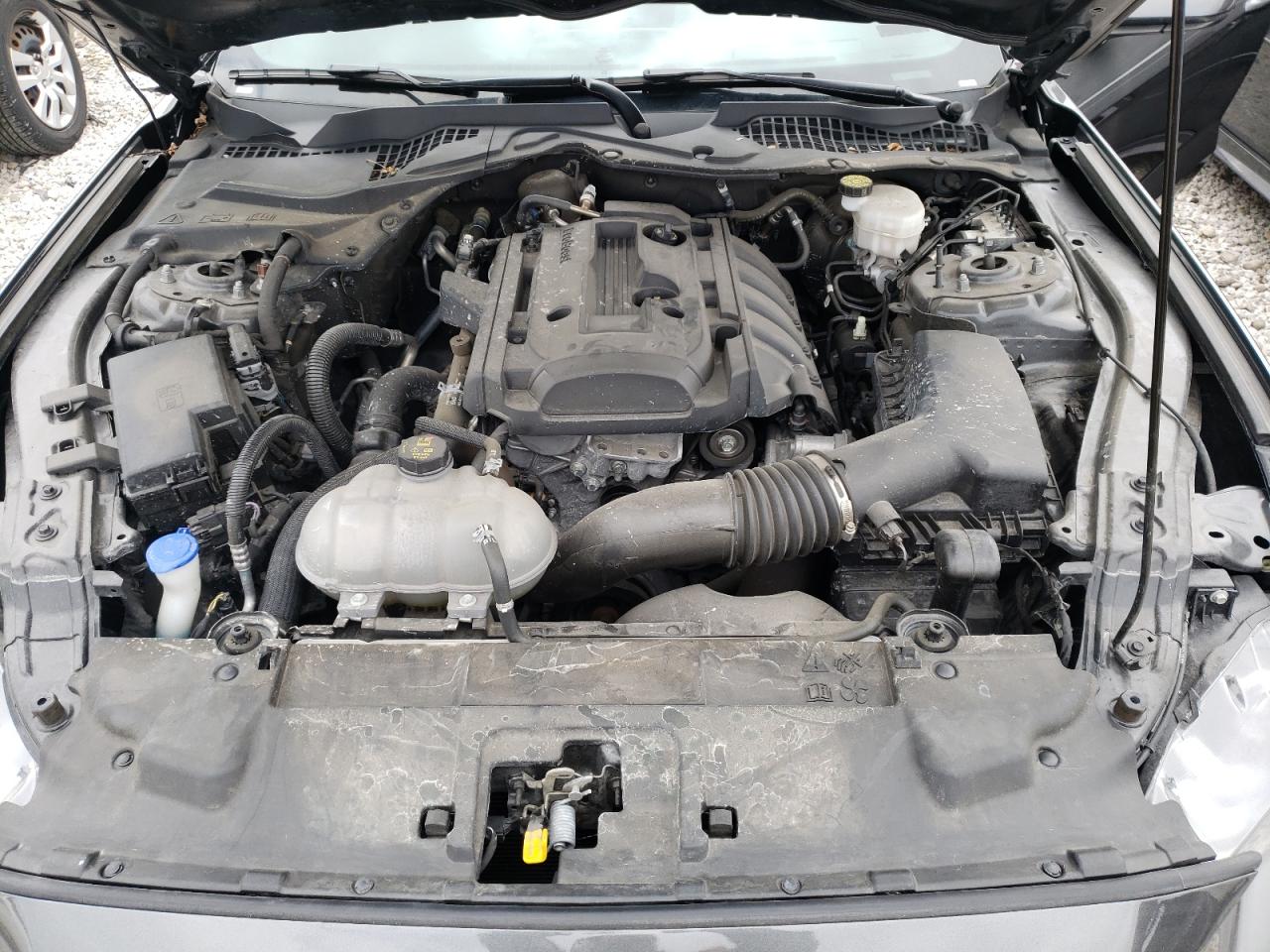Photo 7 from auction – 2020 FORD MUSTANG with VIN 1FA6P8TH8L5136377
