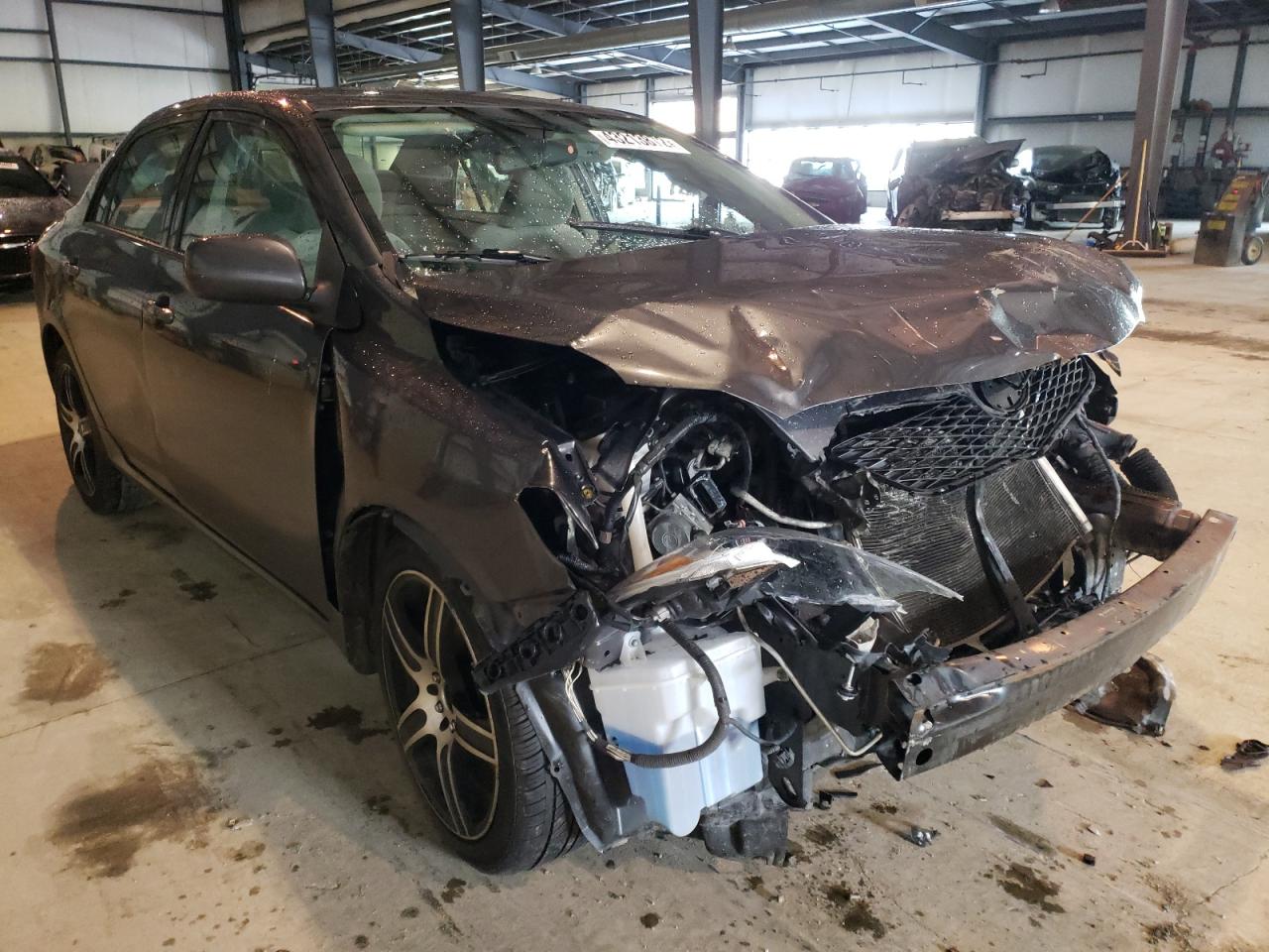 TOYOTA COROLLA BA 2009 with VIN JTDBL40E899065030 - Photo from auction