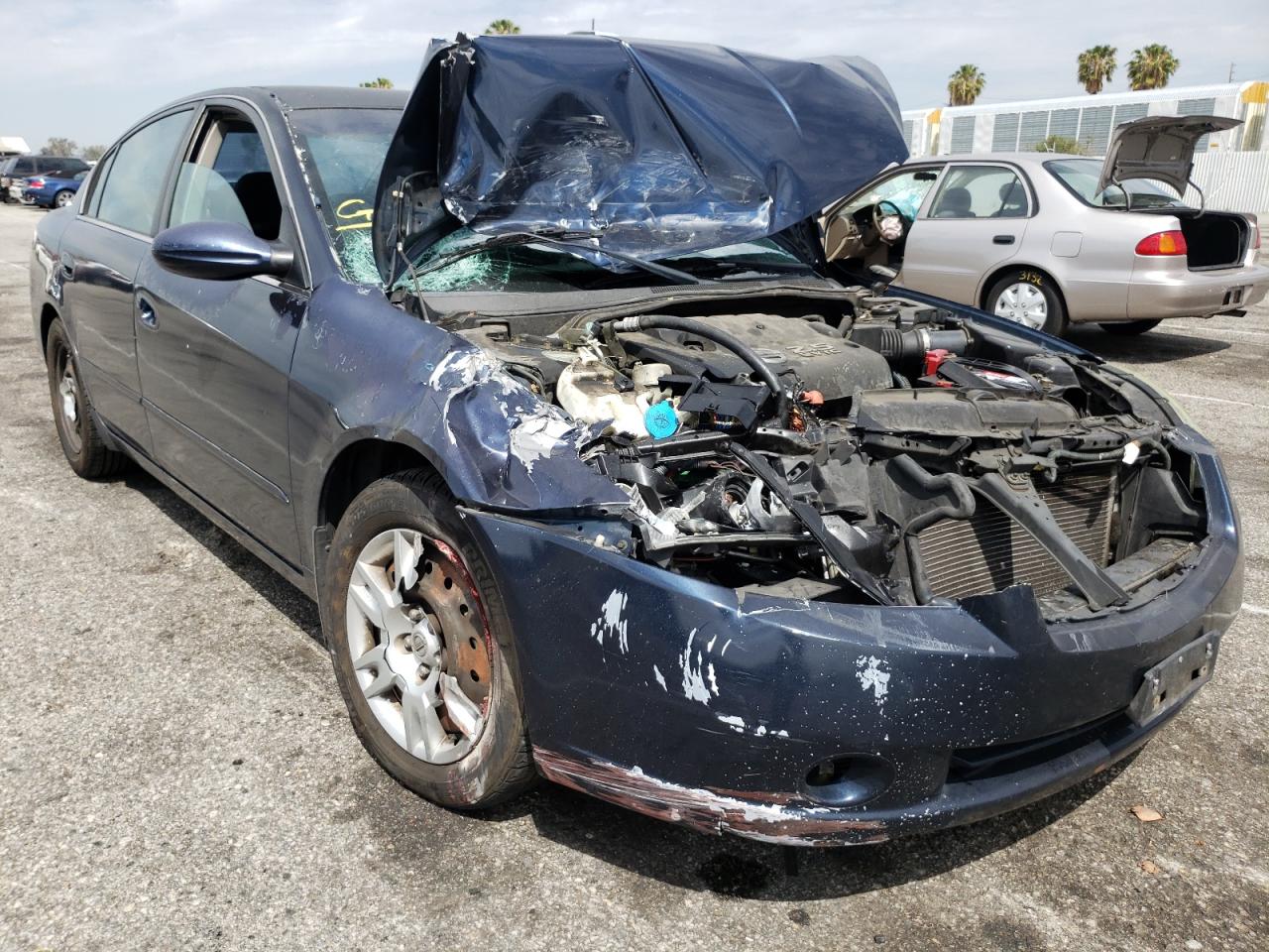 NISSAN ALTIMA S 2005 with VIN 1N4AL11D05C295339 - Photo from auction