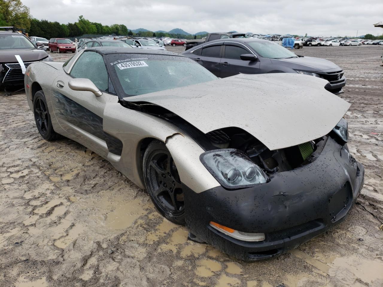CHEVROLET CORVETTE 1999 with VIN 1G1YY22G2X5126867 - Photo from auction