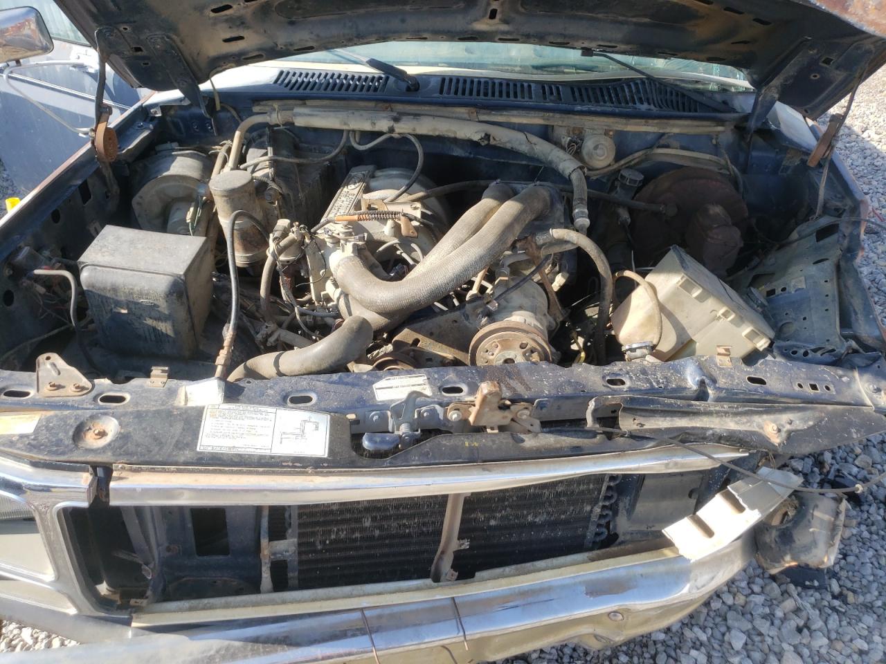 Photo 7 from auction – 1986 FORD F250 with VIN 1FTEF25N2GPB01899