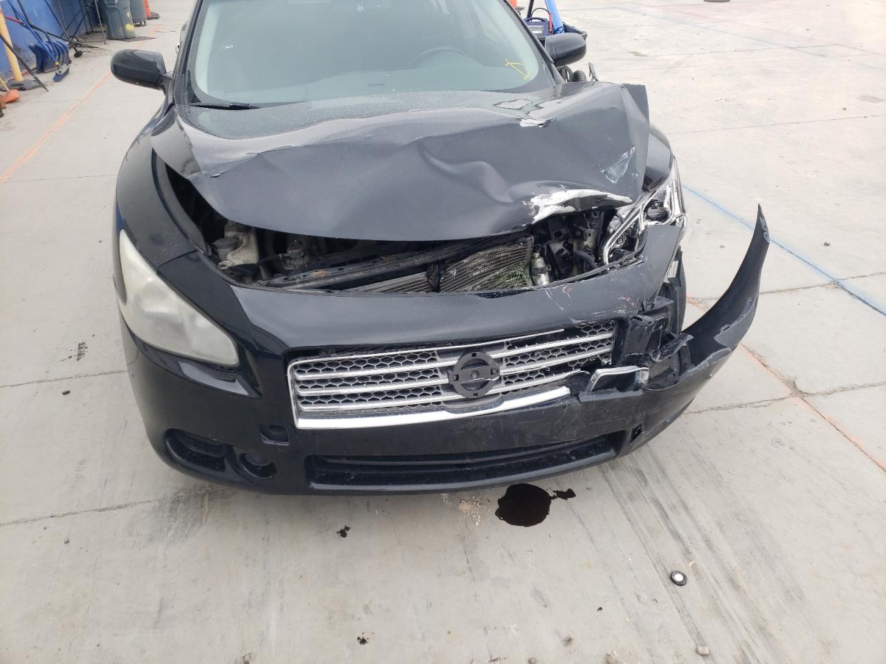 Photo 9 from auction – 2009 NISSAN MAXIMA S with VIN 1N4AA51E49C835903