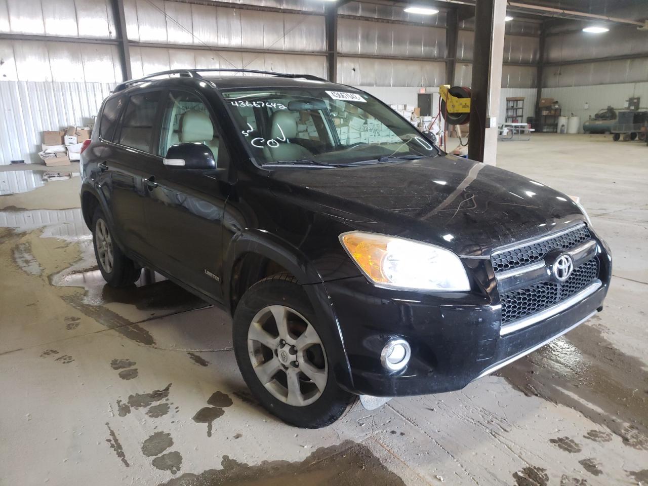TOYOTA RAV4 LIMIT 2009 with VIN 2T3BF31V79W002887 - Photo from auction