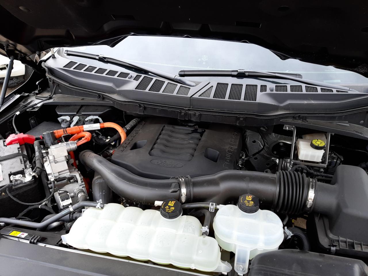 Photo 7 from auction – 2021 FORD F150 SUPER with VIN 1FTFW1ED1MFB08124