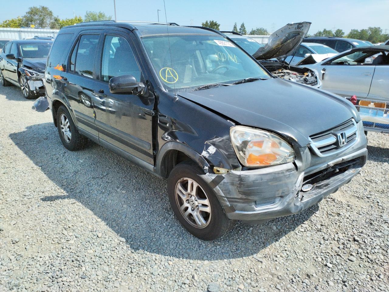 HONDA CR-V EX 2003 with VIN JHLRD78843C028906 - Photo from auction