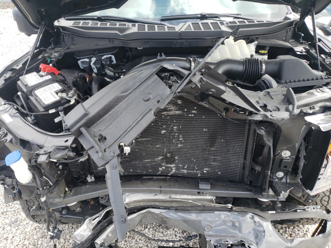 Photo 7 from auction – 2021 FORD F150 SUPER with VIN 1FTEW1EP7MFB68110