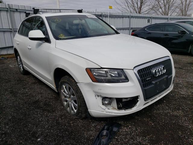 AUDI Q5 PREMIUM 2011 with VIN WA1CFAFP4BA086748 - Photo from auction