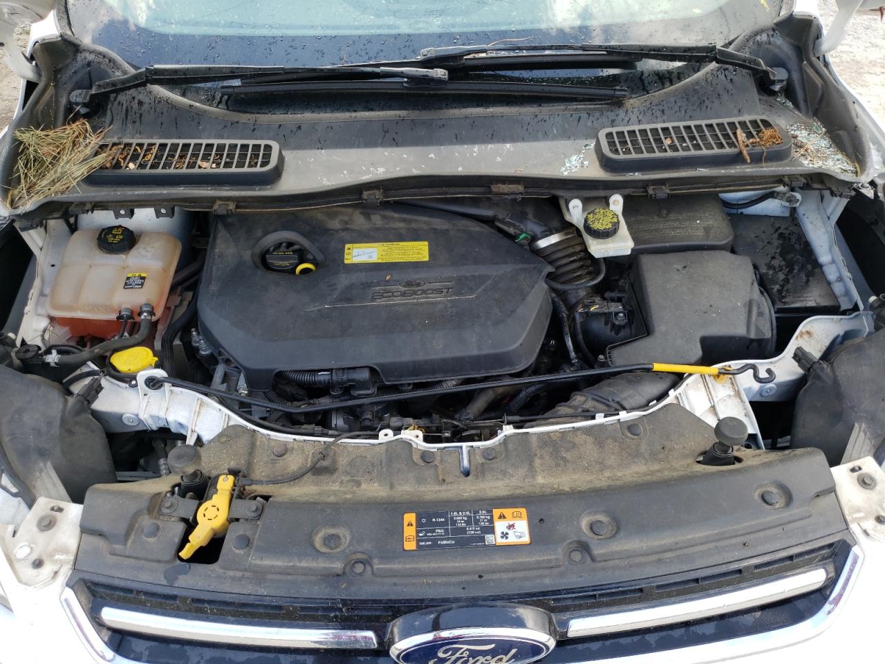 Photo 7 from auction – 2013 FORD ESCAPE SEL with VIN 1FMCU0HX0DUD63864