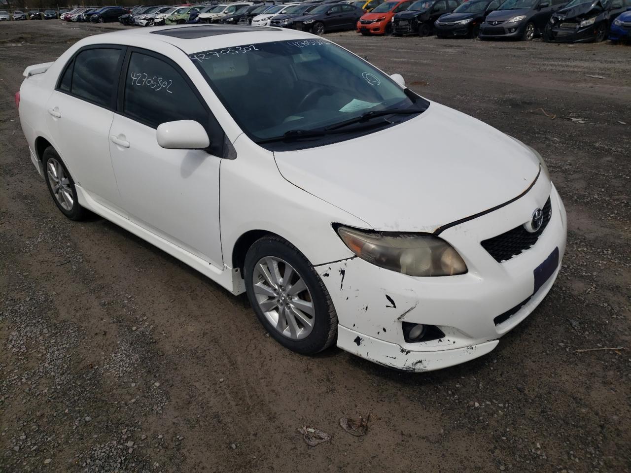 TOYOTA COROLLA BA 2010 with VIN 2T1BU4EE8AC200639 - Photo from auction