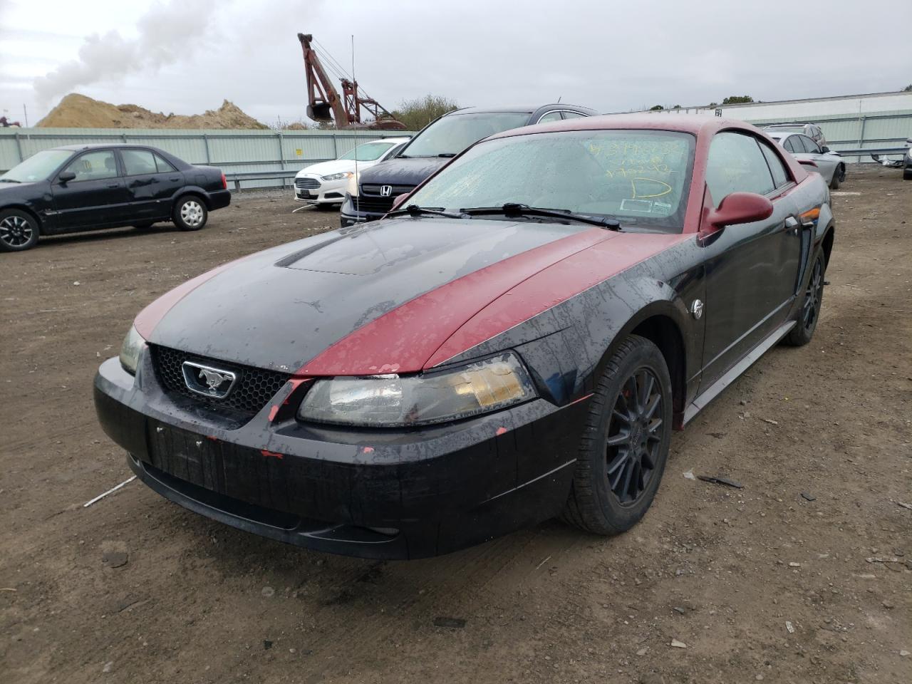 Photo 2 from auction – 2004 FORD MUSTANG with VIN 1FAFP40634F190242