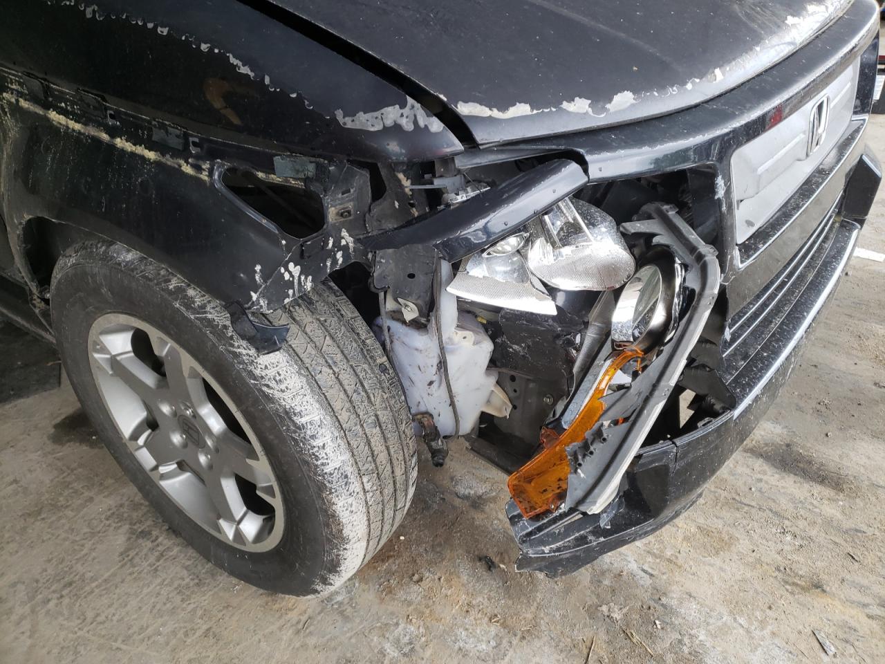 Photo 9 from auction – 2007 HONDA ELEMENT SC with VIN 5J6YH18907L005691