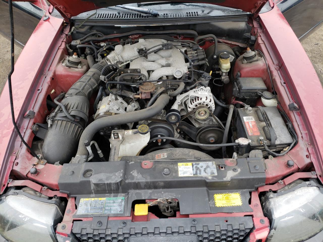 Photo 7 from auction – 2004 FORD MUSTANG with VIN 1FAFP40634F190242