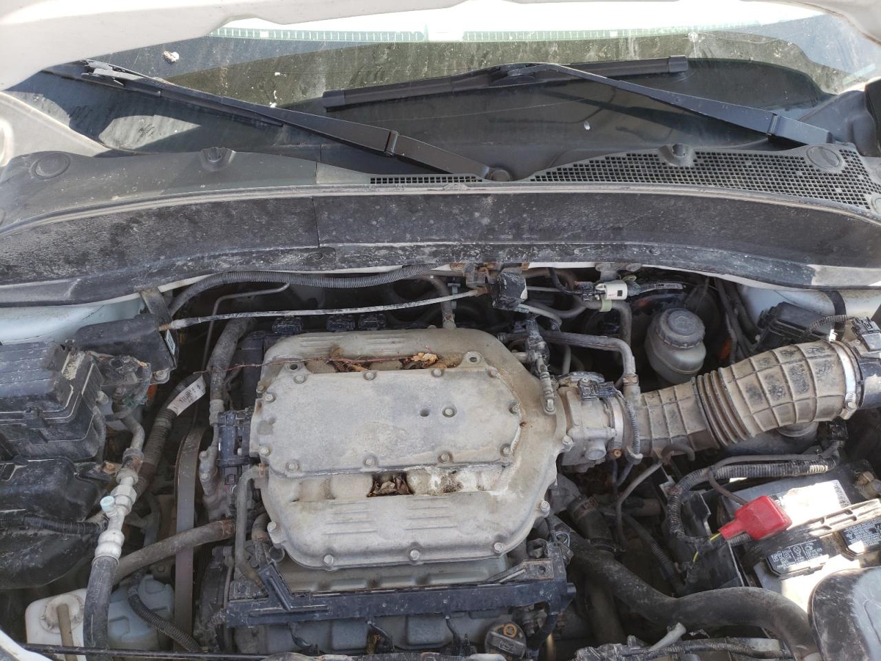 Foto 7 de la subasta – 2013 HONDA RIDGELINE con VIN 5FPYK1F79DB016753