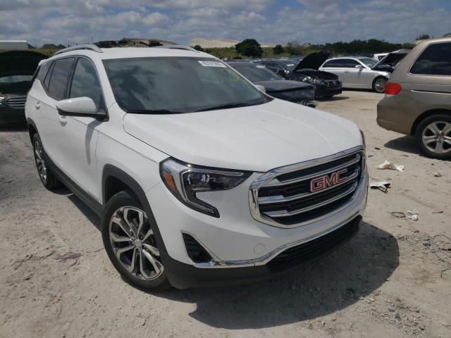 GMC TERRAIN SL 2019 with VIN 3GKALPEX3KL310146 - Photo from auction