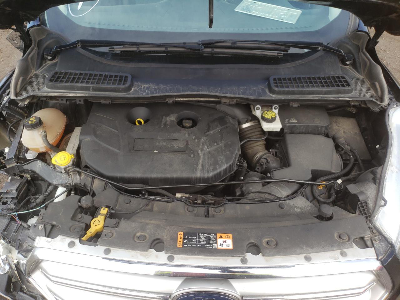 Photo 7 from auction – 2017 FORD ESCAPE SE with VIN 1FMCU0G9XHUB69464