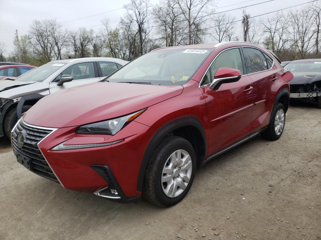 Photo 2 from auction – 2020 LEXUS NX 300 with VIN JTJGARDZ4L5003433