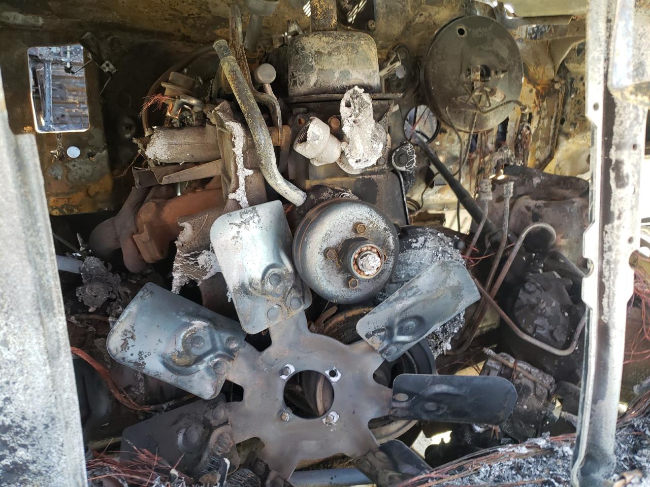 Photo 10 from auction – 1995 FORD F150 with VIN 1FTEX15YXSKA87595