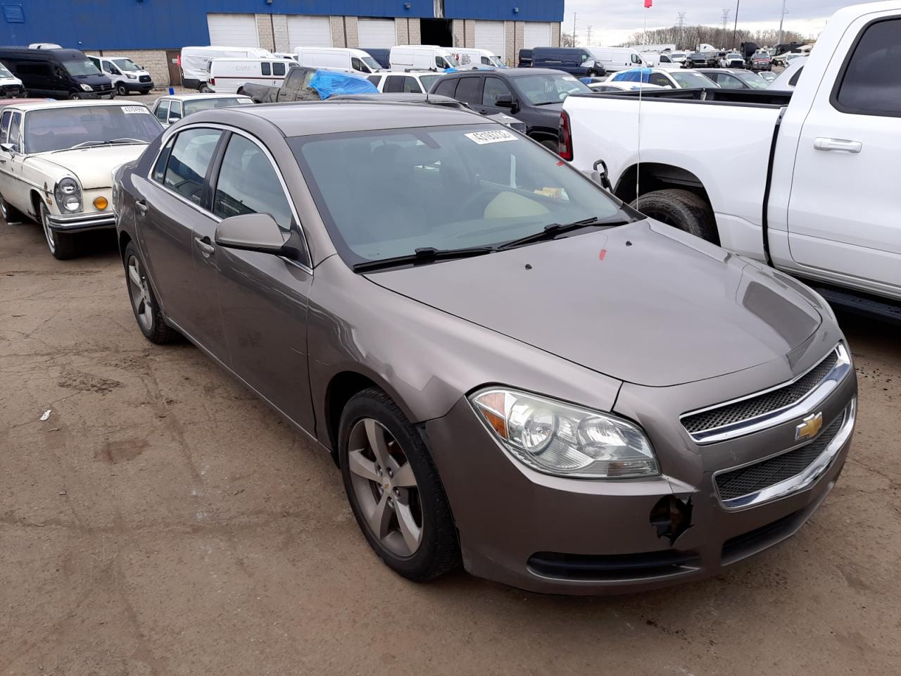 CHEVROLET MALIBU 1LT 2011 with VIN 1G1ZC5E16BF258951 - Photo from auction