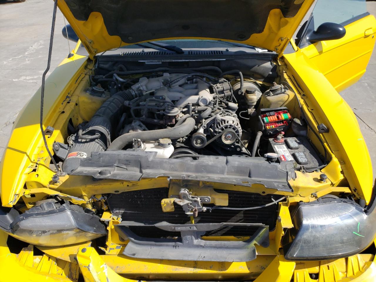 Photo 7 from auction – 2004 FORD MUSTANG with VIN 1FAFP44604F187566