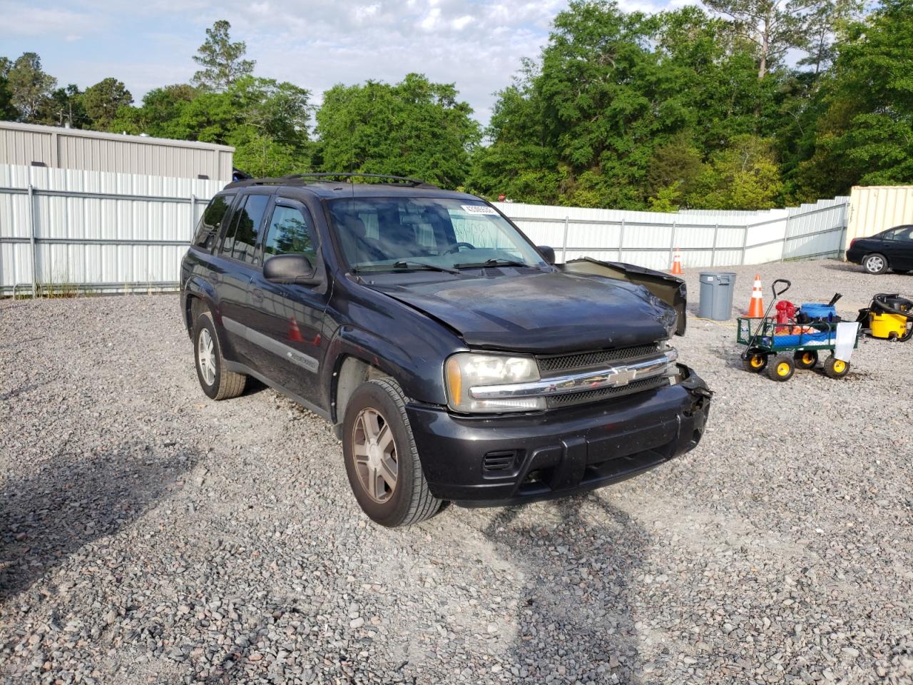 CHEVROLET TRAILBLAZE 2004 with VIN 1GNDS13S342447129 - Photo from auction