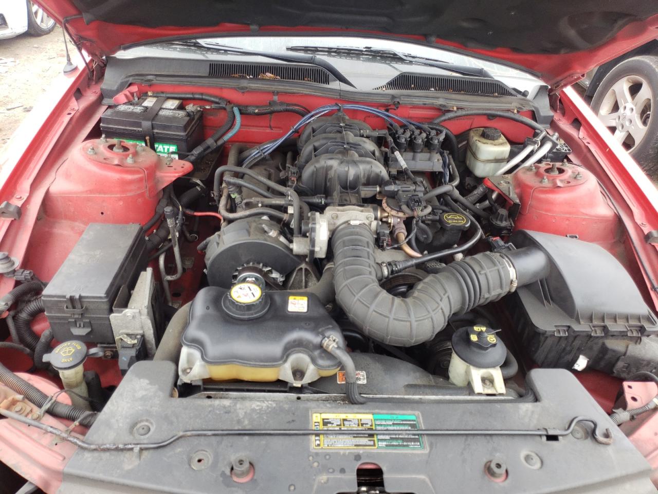 Photo 7 from auction – 2005 FORD MUSTANG with VIN 1ZVFT84N355244268