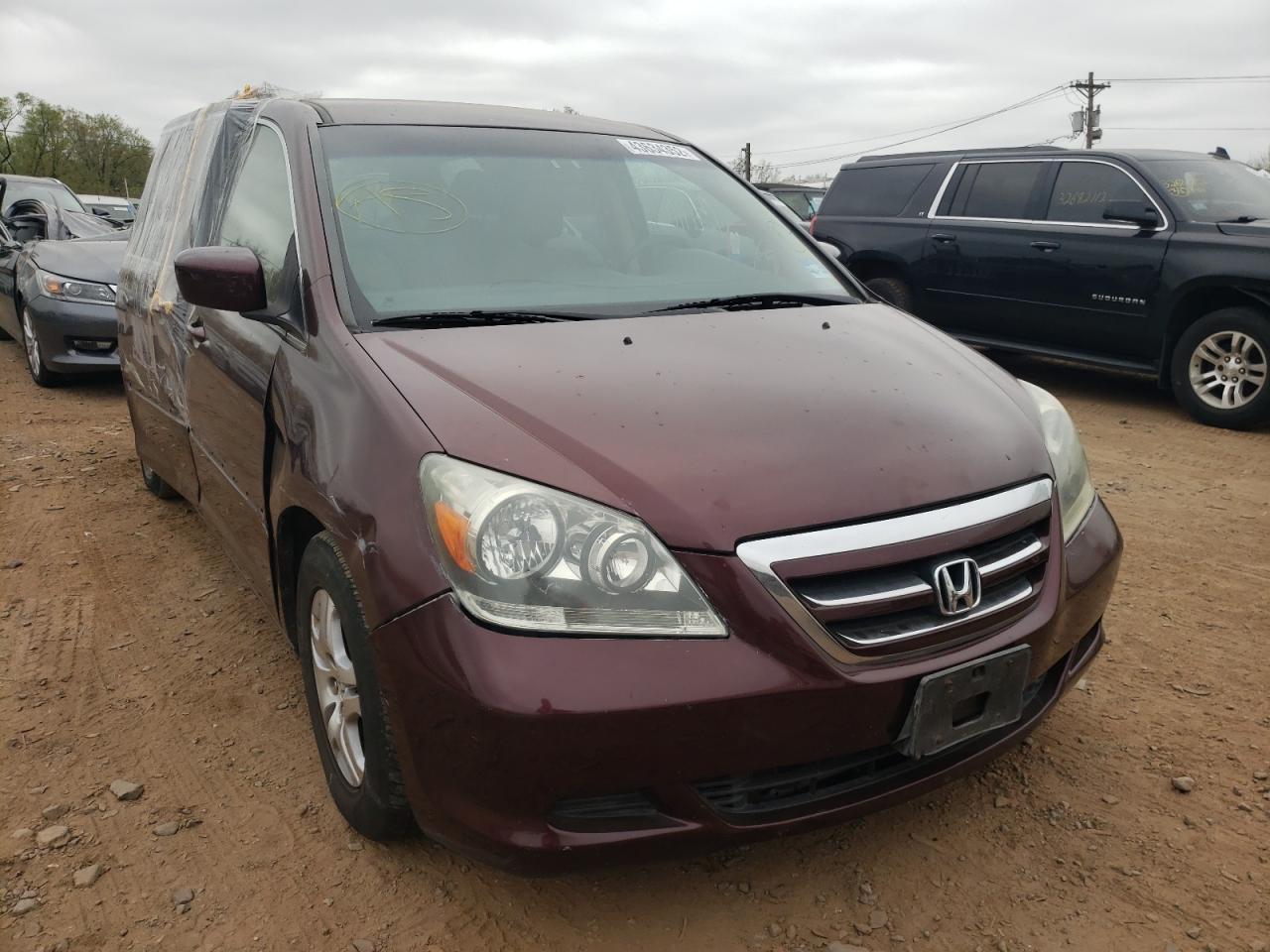 HONDA ODYSSEY EX 2007 with VIN 5FNRL38407B046608 - Photo from auction