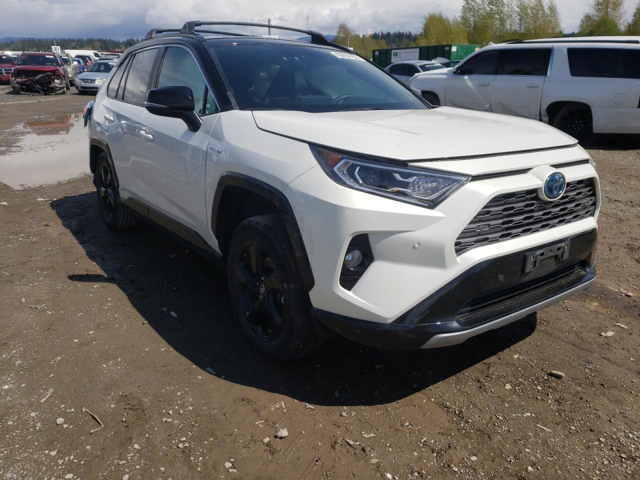TOYOTA RAV4 XSE 2019 with VIN 2T3EWRFV8KW013007 - Photo from auction