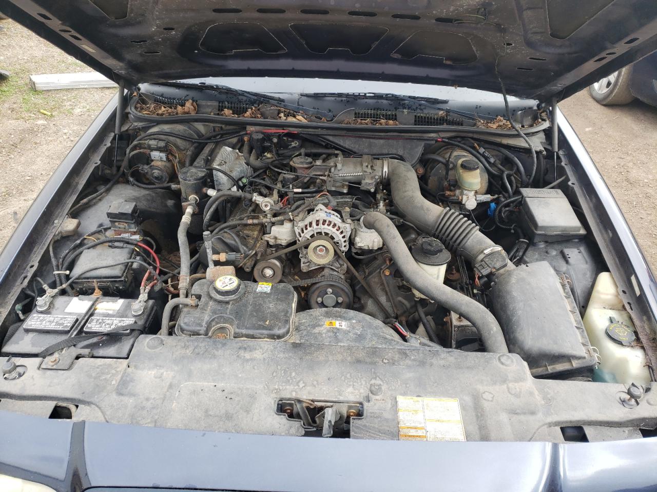 Photo 7 from auction – 2001 FORD CROWN VICT with VIN 2FAFP71W21X151321