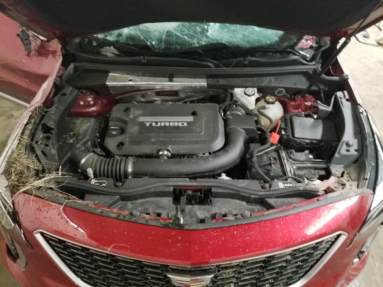 Photo 7 from auction – 2019 CADILLAC XT4 PREMIU with VIN 1GYFZCR44KF101303