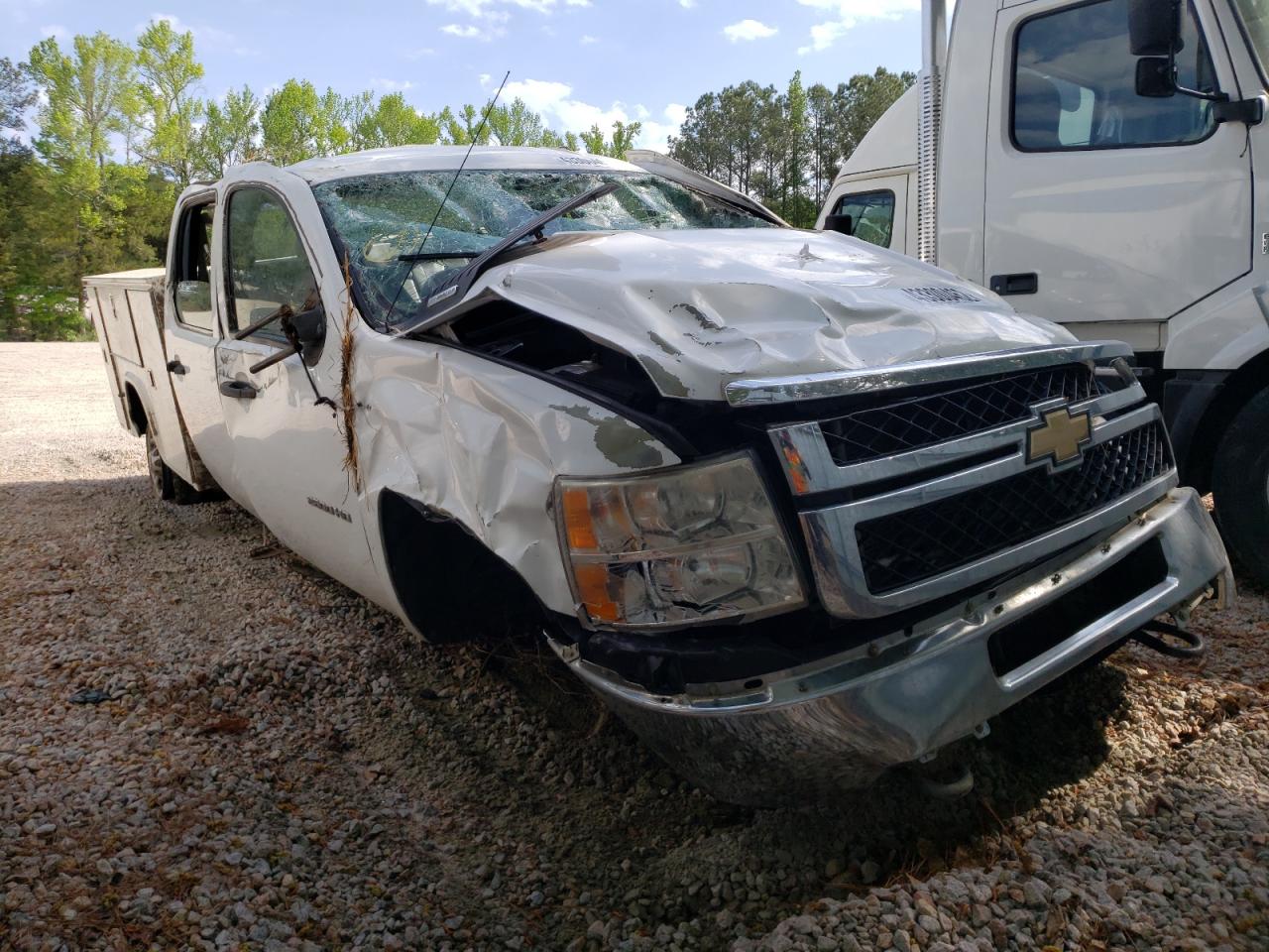 CHEVROLET SILVERADO 2011 with VIN 1GB1CVCL7BF169578 - Photo from auction