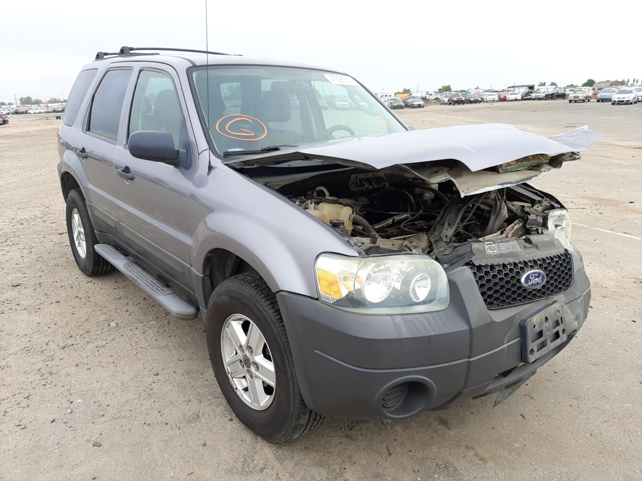 Photo 1 from auction – 2007 FORD ESCAPE XLS with VIN 1FMCU02Z17KA07806