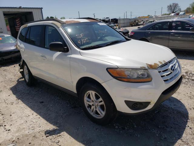 HYUNDAI SANTA FE G 2010 with VIN 5NMSGDAB2AH356429 - Photo from auction