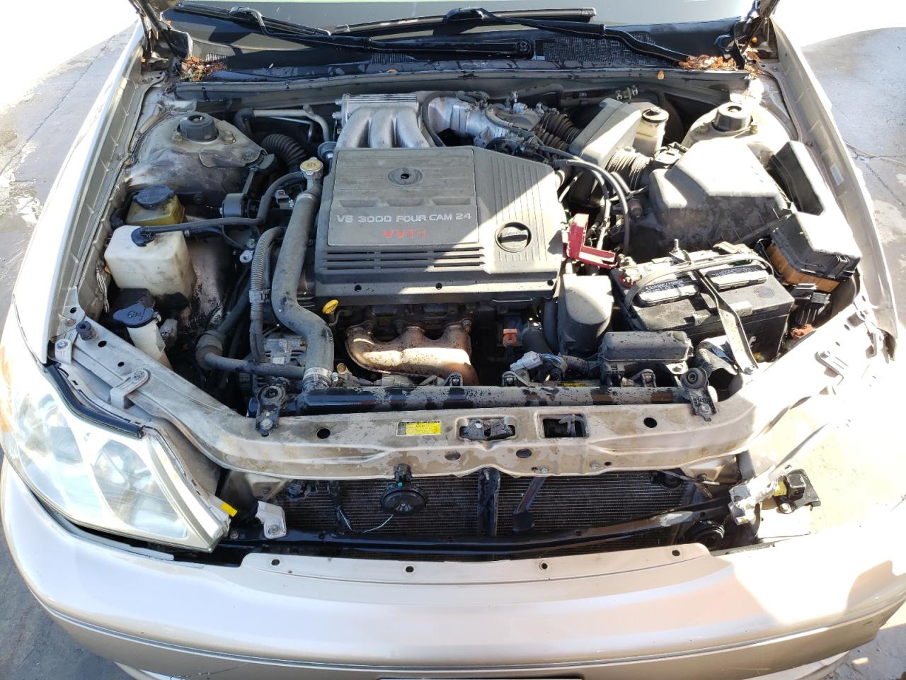 Photo 7 from auction – 2004 TOYOTA AVALON XL with VIN 4T1BF28B54U343406