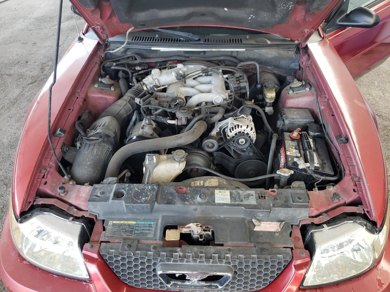 Photo 7 from auction – 2004 FORD MUSTANG with VIN 1FAFP44644F229057