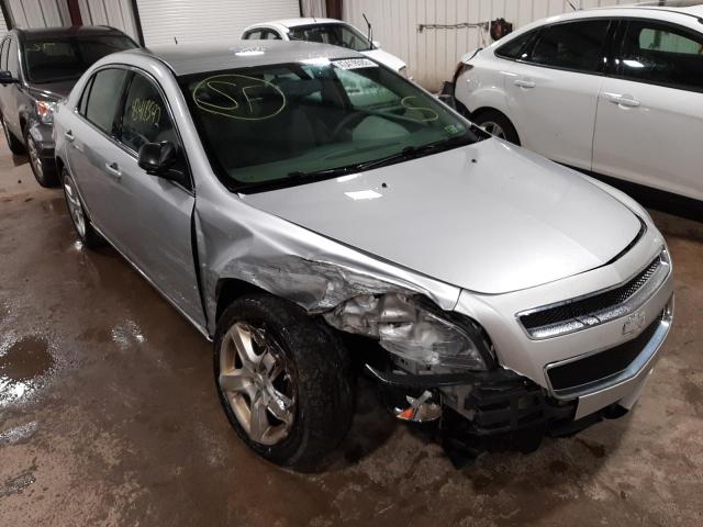 CHEVROLET MALIBU LS 2010 with VIN 1G1ZB5EB1AF218173 - Photo from auction