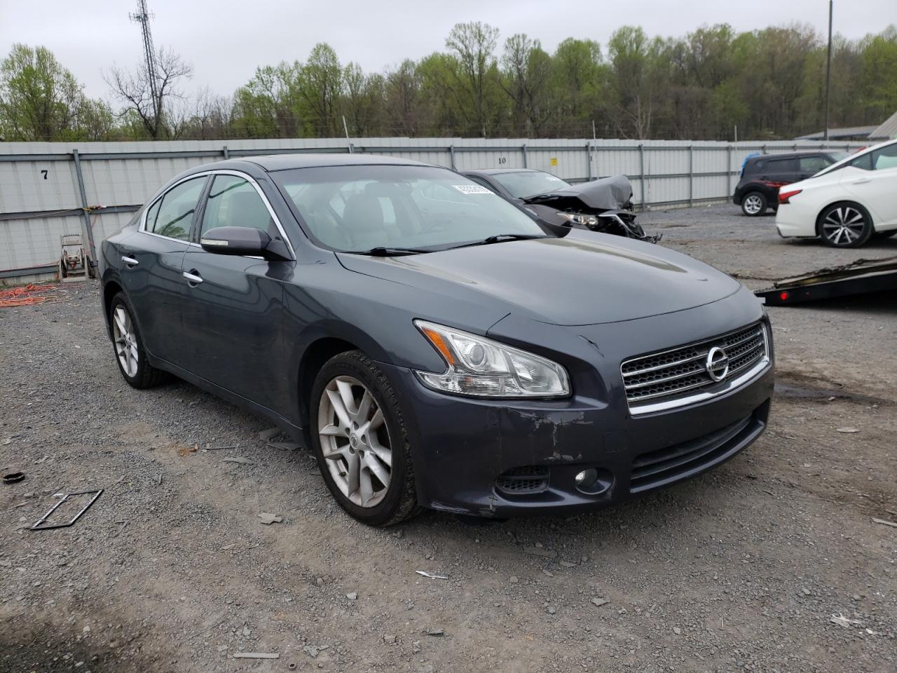 NISSAN MAXIMA S 2011 with VIN 1N4AA5APXBC817316 - Photo from auction