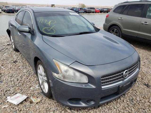 NISSAN MAXIMA S 2011 with VIN 1N4AA5AP3BC853316 - Photo from auction
