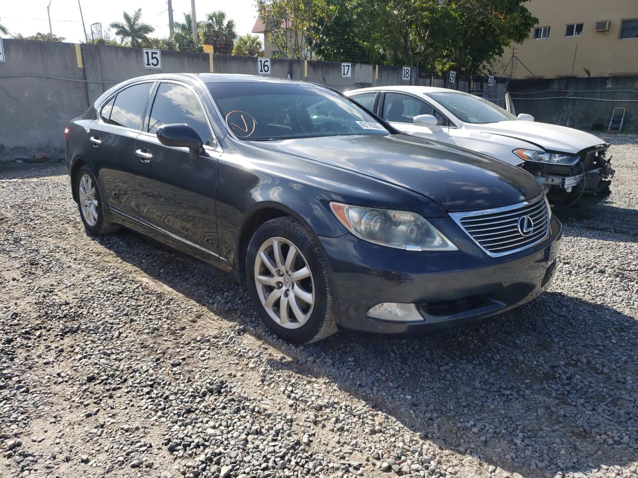 LEXUS LS 460 2008 with VIN JTHBL46F585078192 - Photo from auction