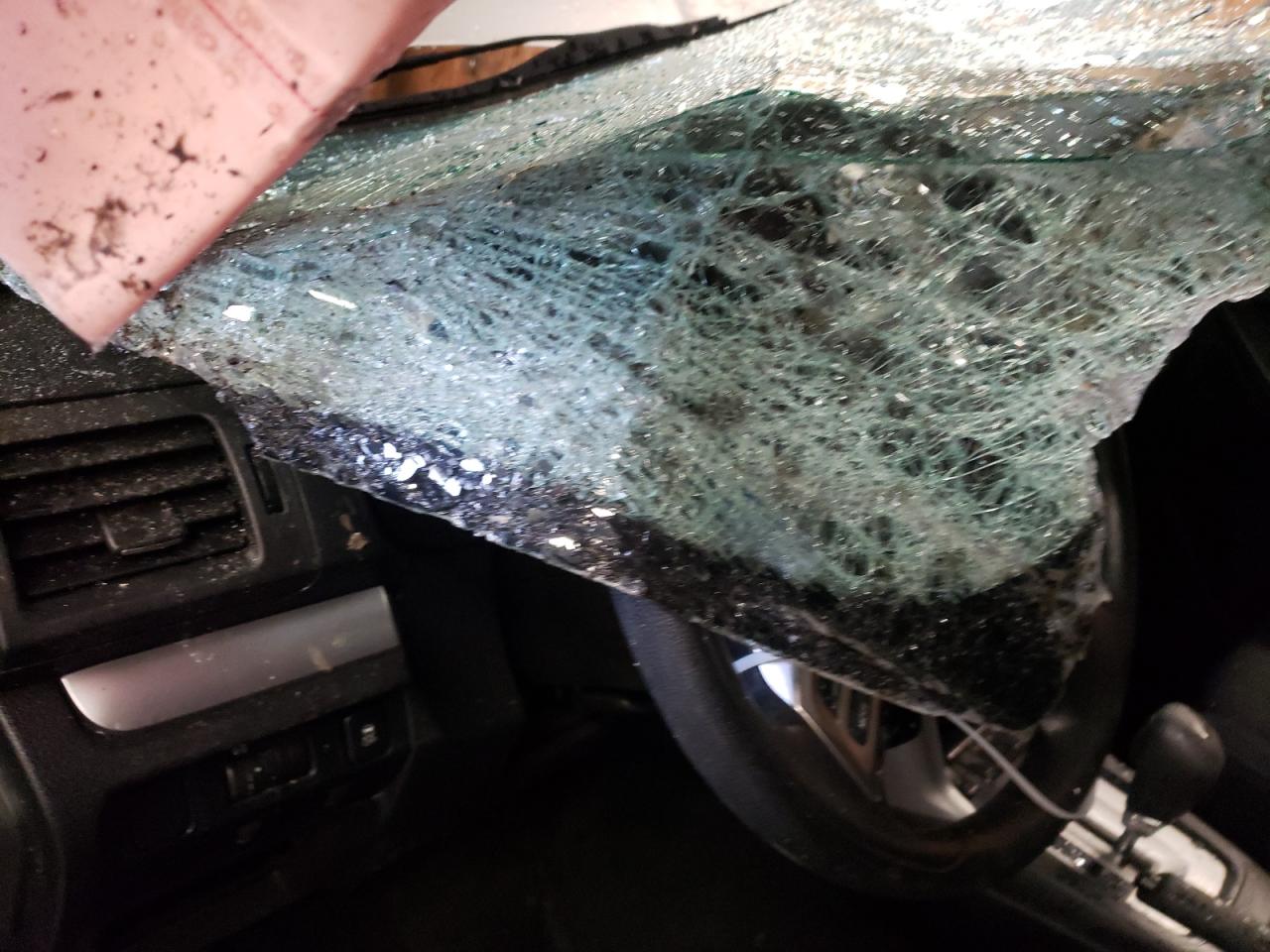 Photo 8 from auction – 2015 SUBARU FORESTER 2 with VIN JF2SJADC7FH588071