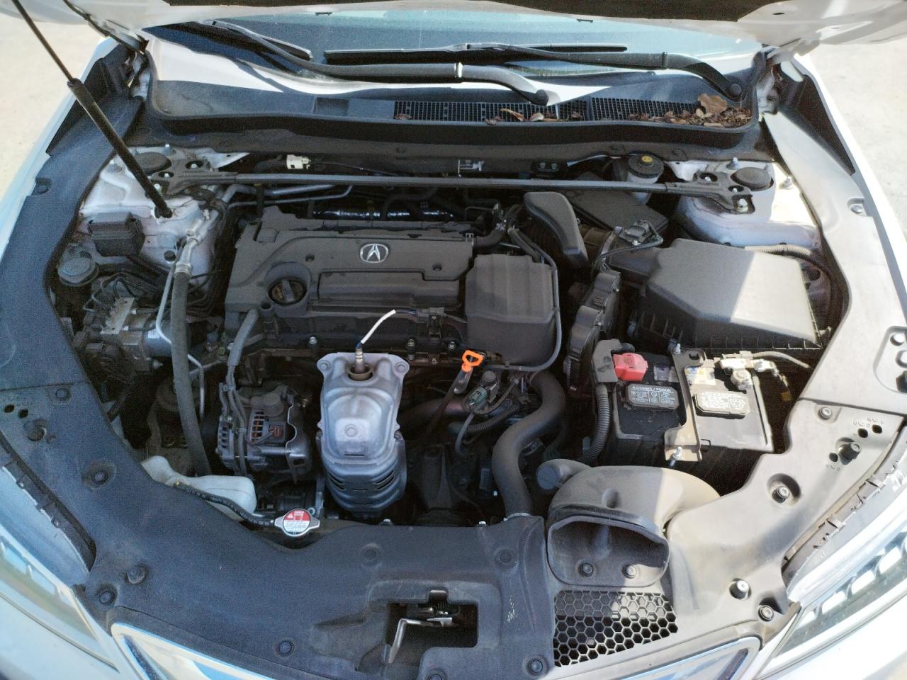 Photo 7 from auction – 2016 ACURA TLX with VIN 19UUB1F3XGA015632