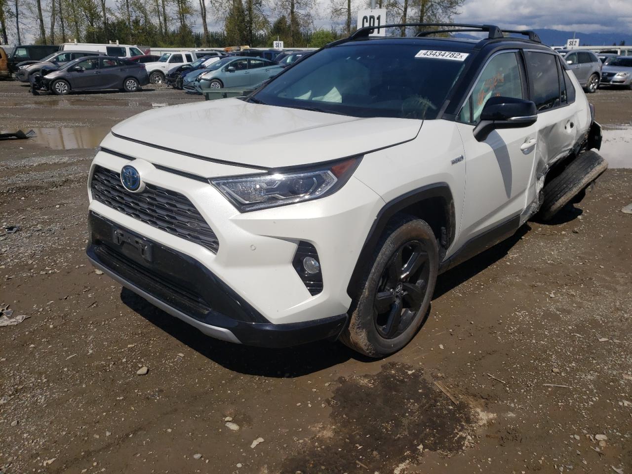 Photo 2 from auction – 2019 TOYOTA RAV4 XSE with VIN 2T3EWRFV8KW013007