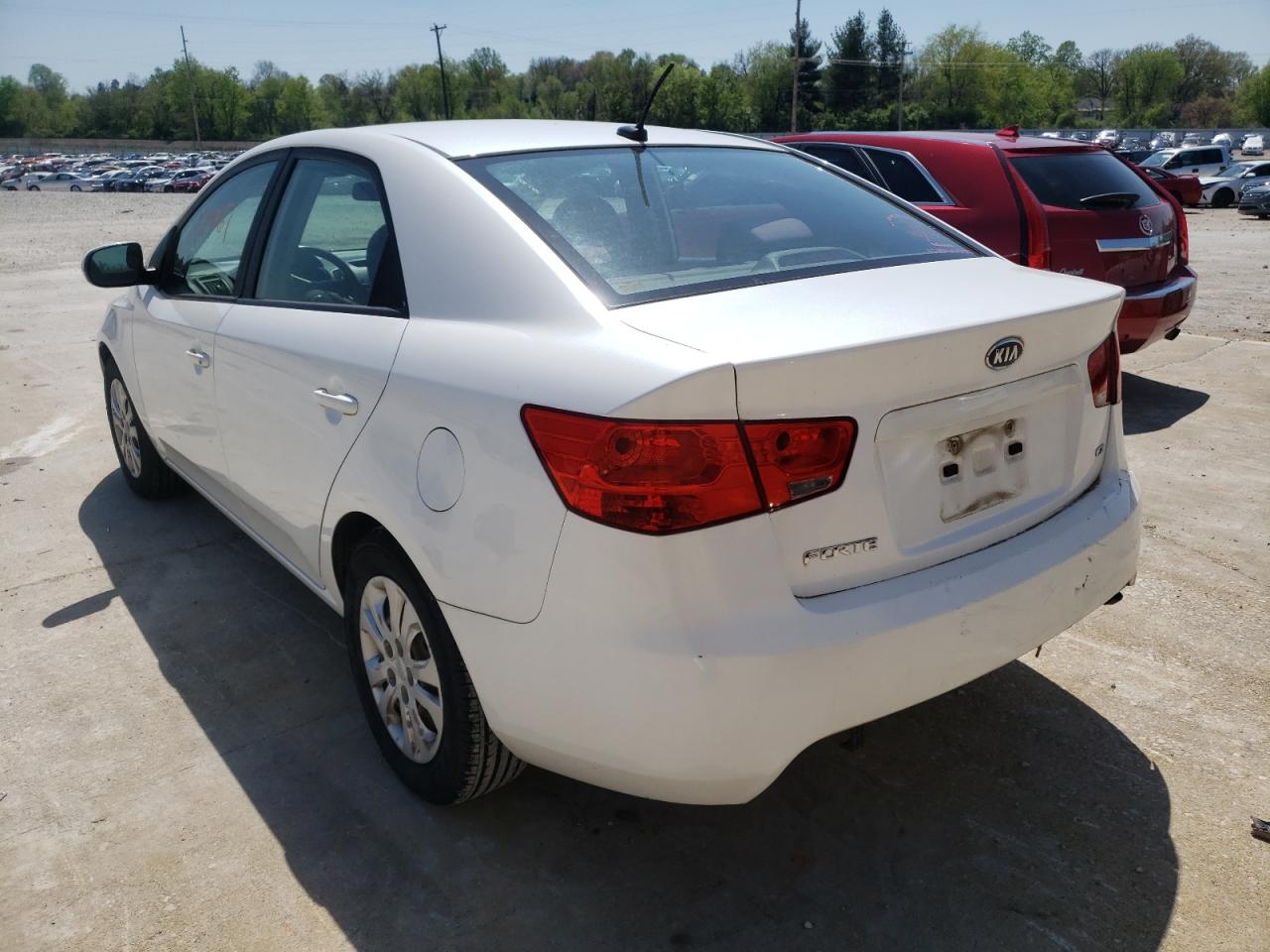 Photo 3 from auction – 2011 KIA FORTE EX with VIN KNAFU4A24B5890981