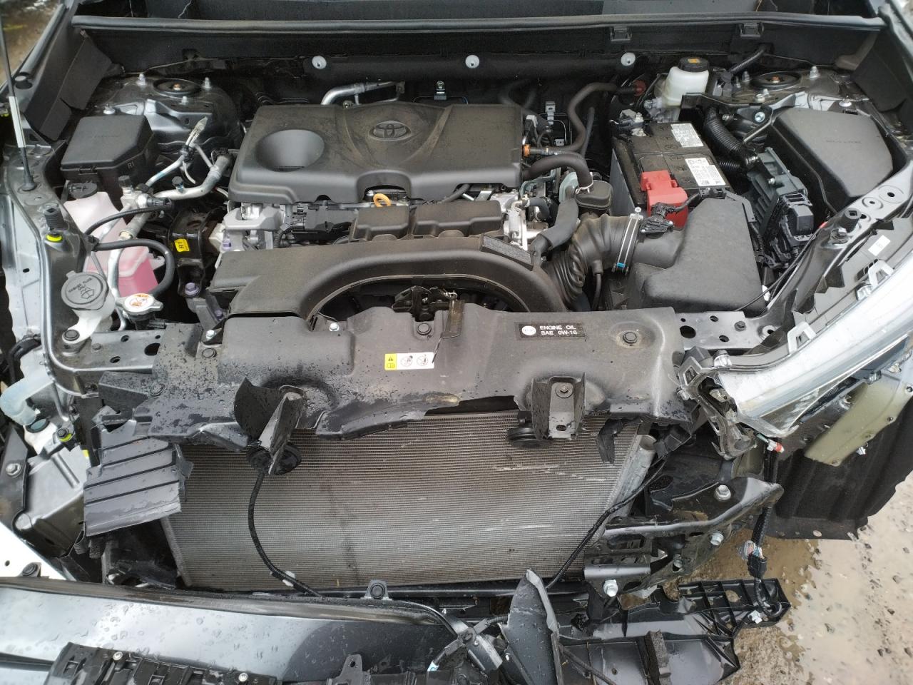 Photo 7 from auction – 2021 TOYOTA RAV4 LE with VIN 2T3G1RFVXMC169870