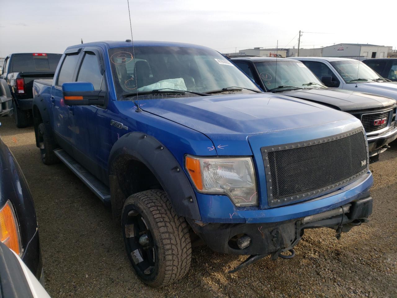 FORD F150 SUPER 2010 with VIN 1FTFW1EV3AFC79395 - Photo from auction