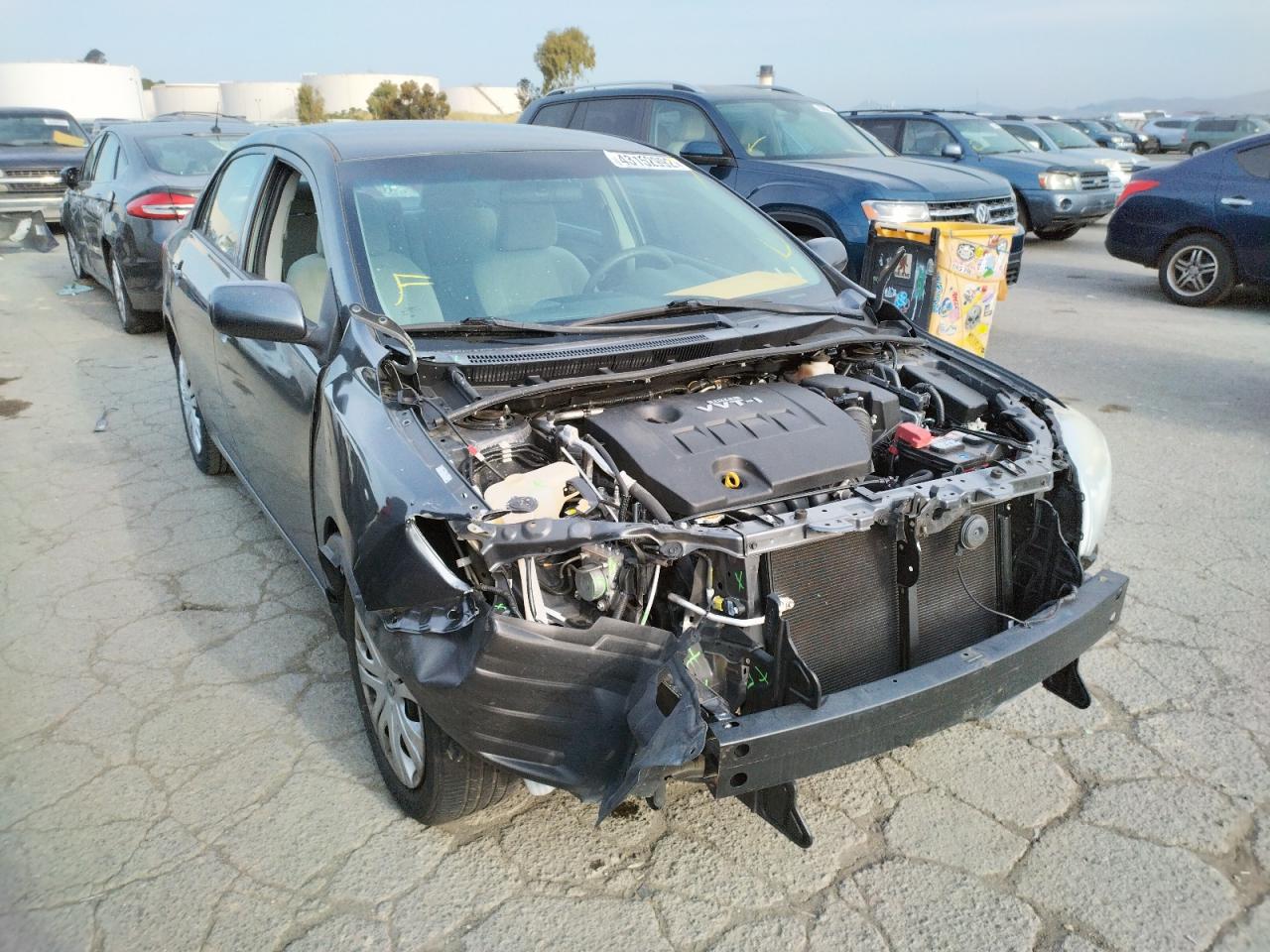 TOYOTA COROLLA BA 2010 with VIN 1NXBU4EE7AZ290462 - Photo from auction