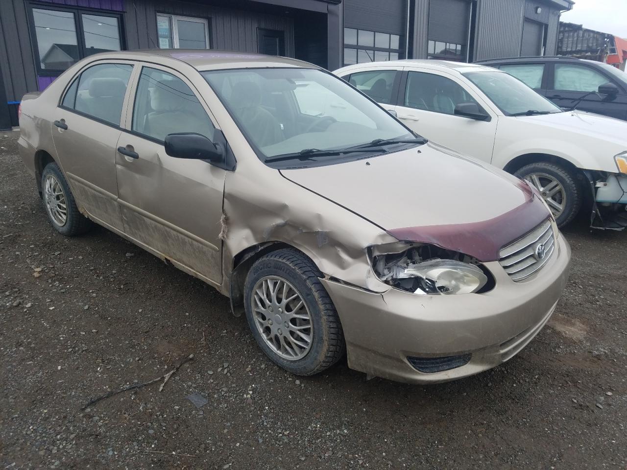 TOYOTA COROLLA CE 2004 with VIN 2T1BR32E04C809650 - Photo from auction