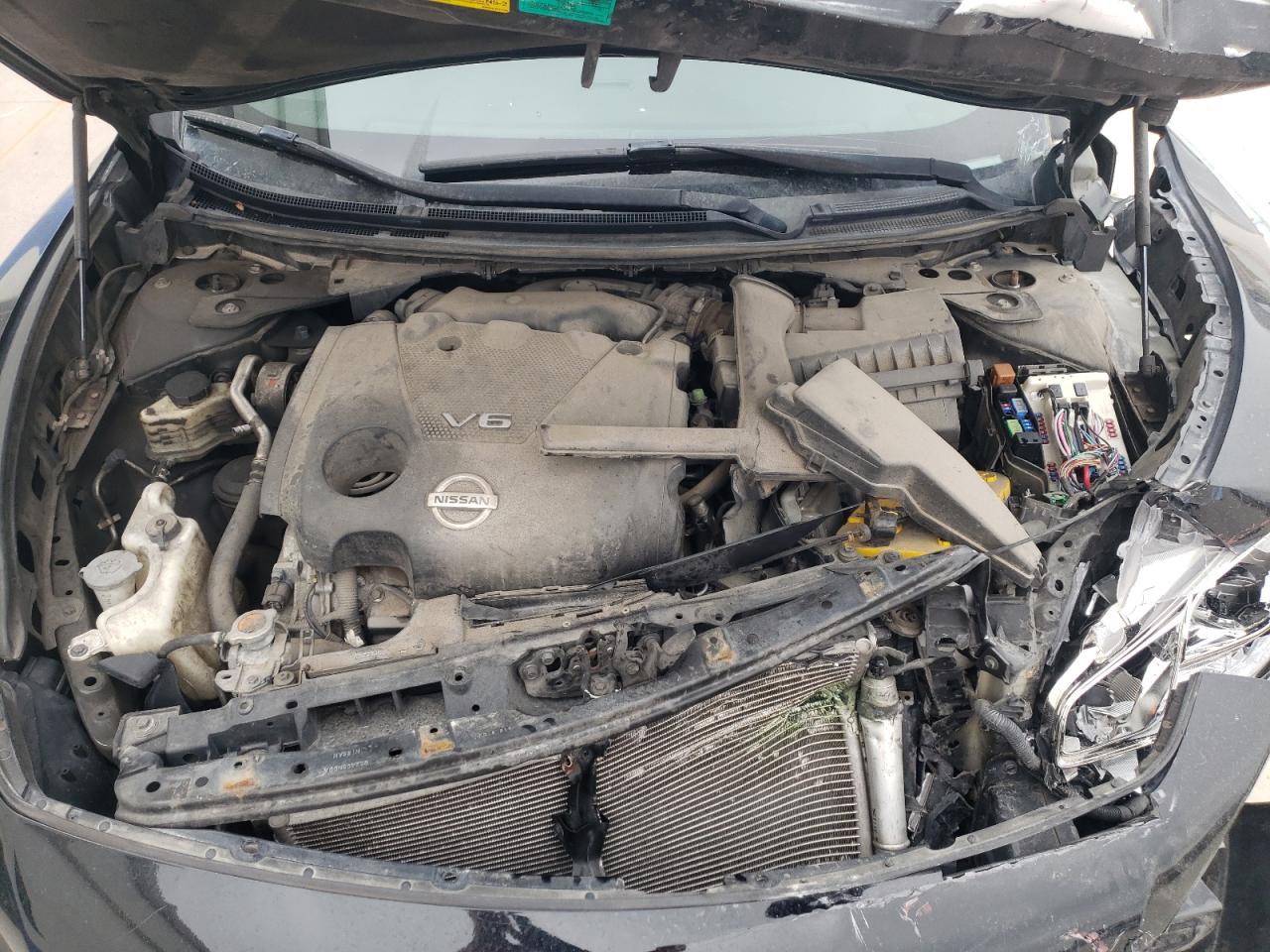 Photo 7 from auction – 2009 NISSAN MAXIMA S with VIN 1N4AA51E49C835903